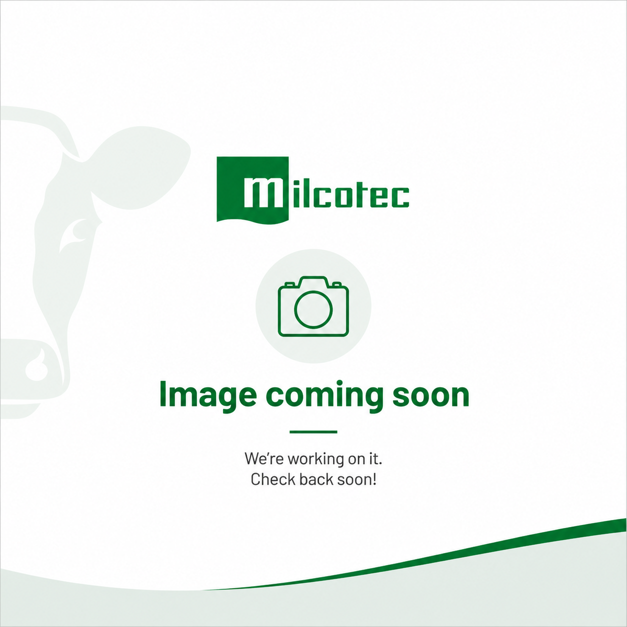 Image coming soon