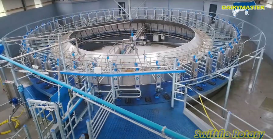 Effizientes Melkstand-Upgrade bei Vestergård mit DairyMaster Karussell