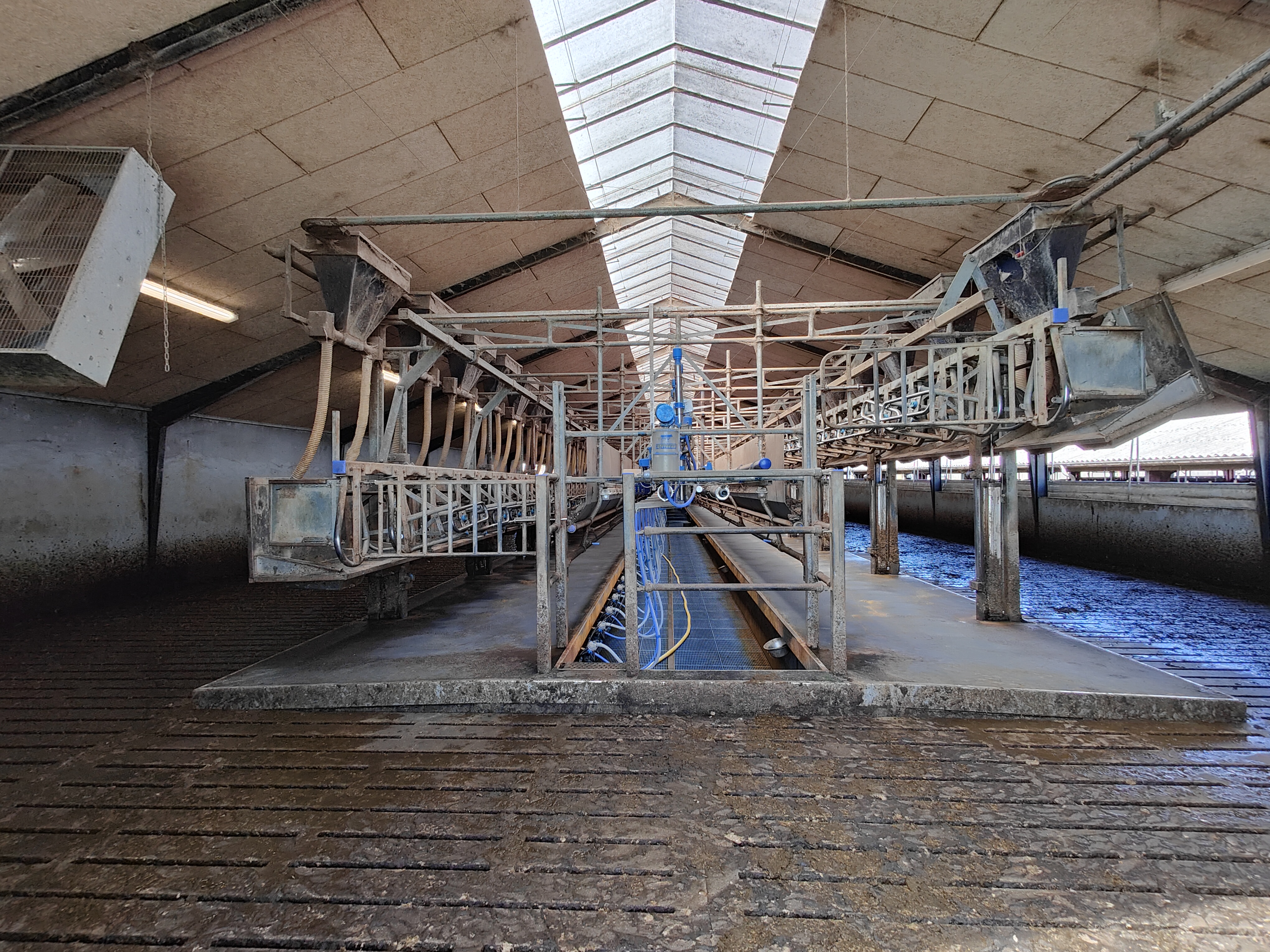 Dairy Master malkestalden set fra den ene side. Fast exit er slået op i på den ene af langsiderne.
